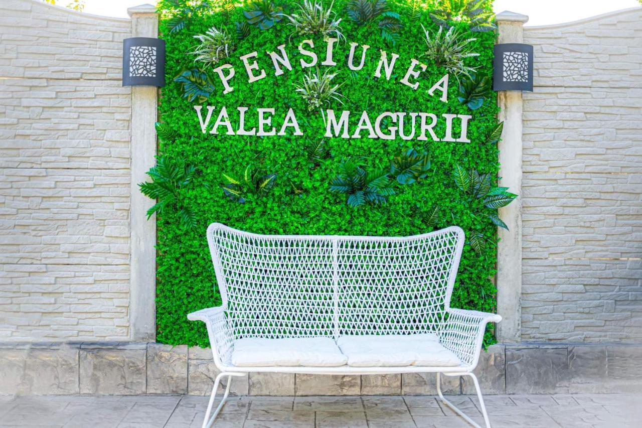 Pensiunea Valea Magurii Новачі-Страіні Екстер'єр фото