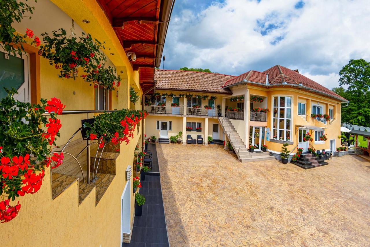 Pensiunea Valea Magurii Новачі-Страіні Екстер'єр фото