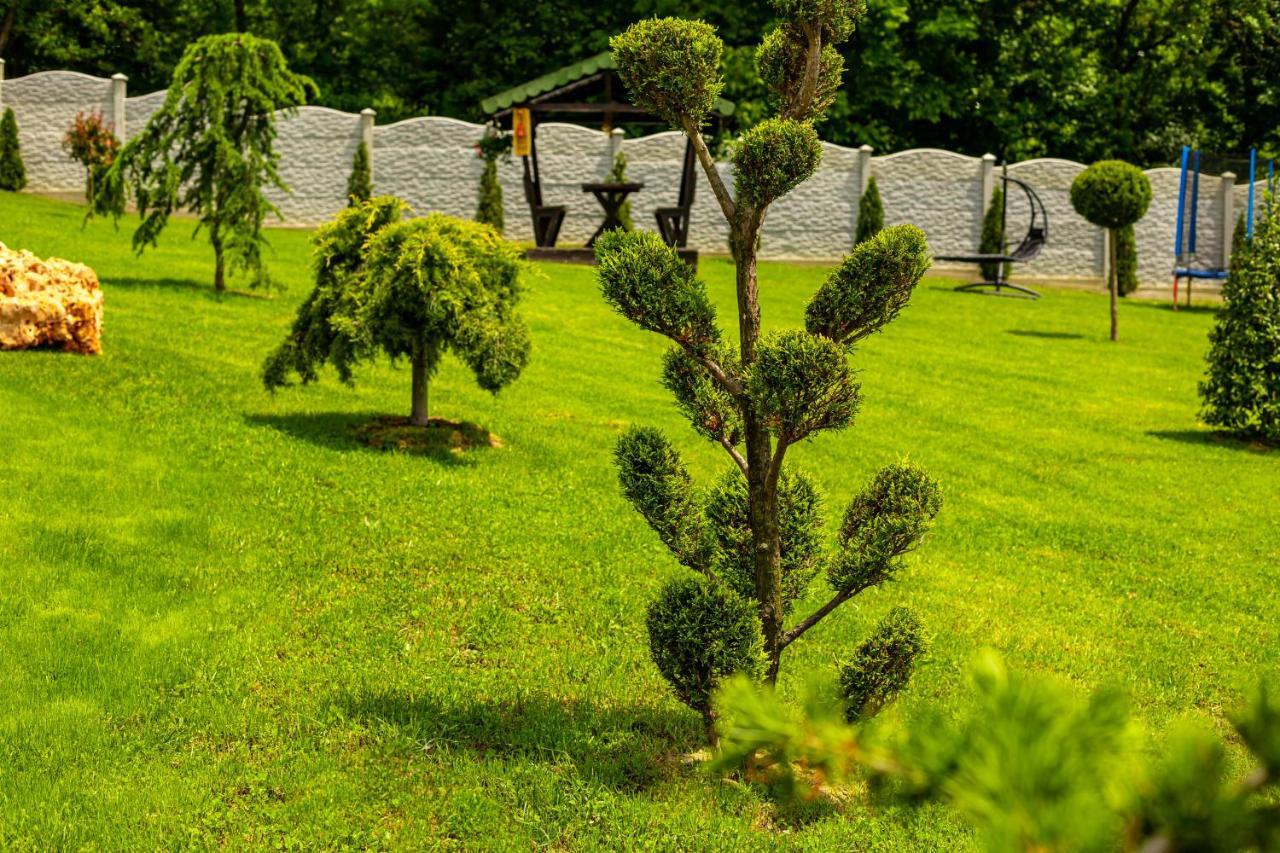 Pensiunea Valea Magurii Новачі-Страіні Екстер'єр фото