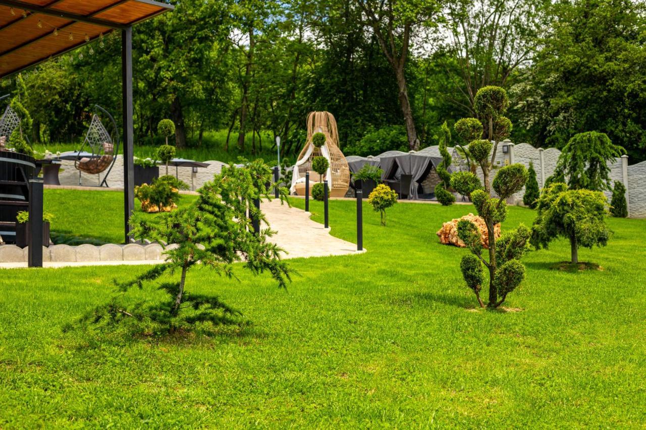 Pensiunea Valea Magurii Новачі-Страіні Екстер'єр фото