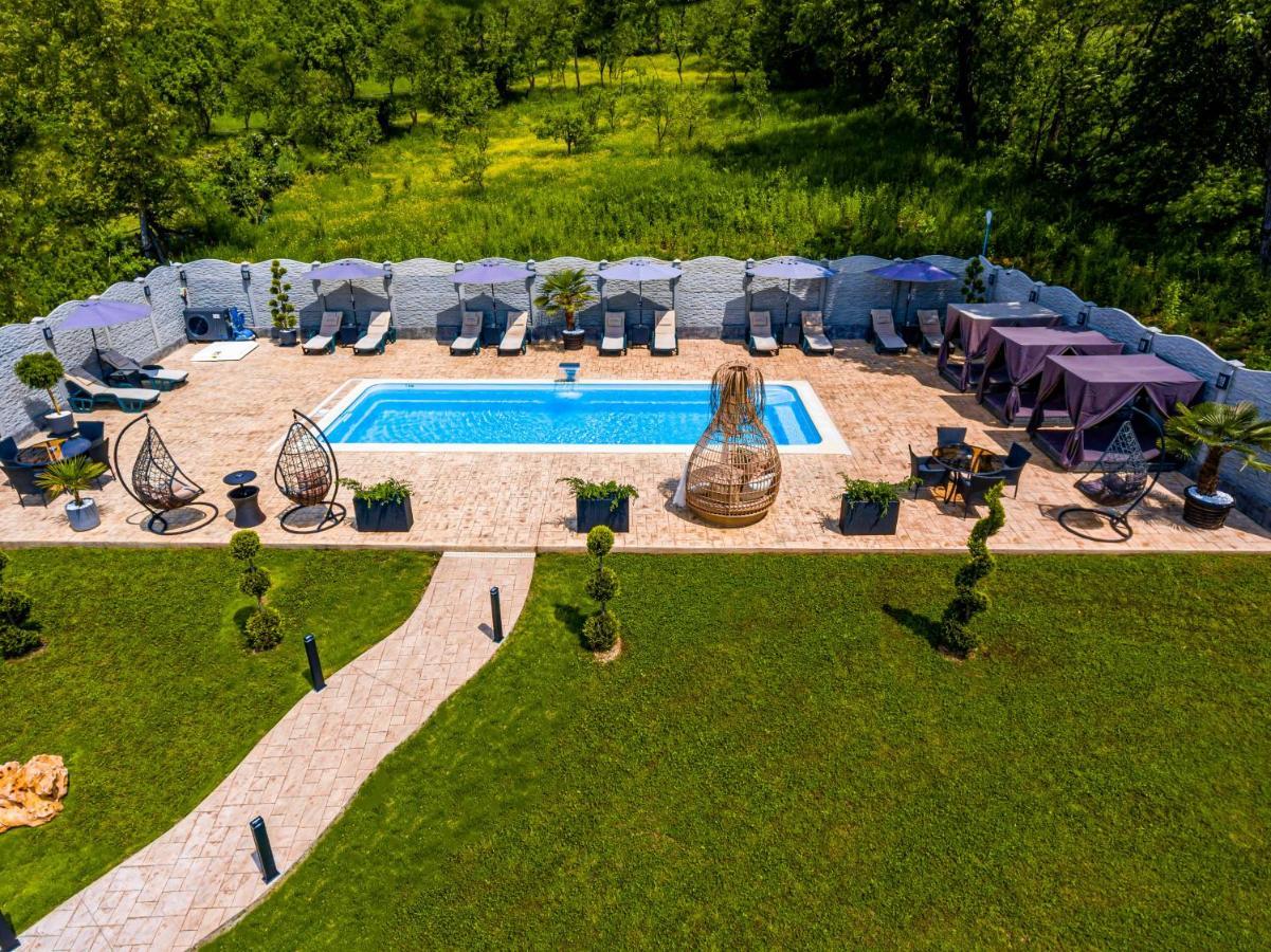 Pensiunea Valea Magurii Новачі-Страіні Екстер'єр фото